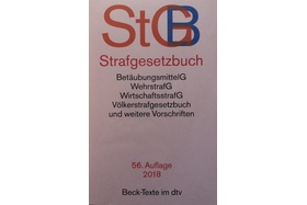 Bild der Petition: Überarbeitung des Paragraphen 315d StGB