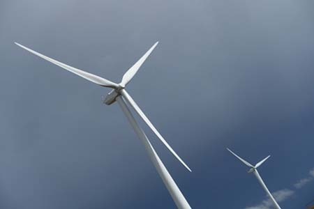 Foto e peticionit:Überprüfung der Genehmigung der Errichtung von Windkraftanlagen im Waldgebiet Uckley
