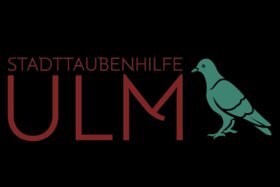 Bild der Petition: Ulmer Stadttauben brauchen betreute Taubenhäuser – Ulm braucht betreute Taubenhäuser