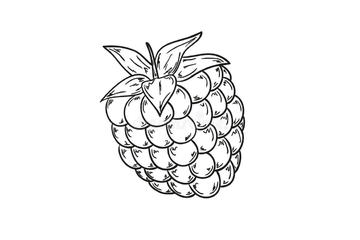 Image of the petition Umbenennung der "Himbeere" in "Herbeere"