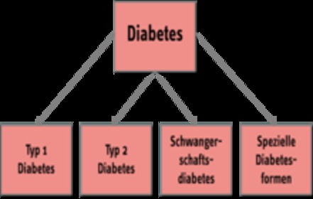 Bild der Petition: Umbenennung des Typ 1 Diabetes