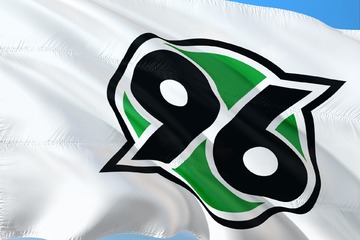 Bild der Petition Umsetzungskatalog für den Aufsichtsrat Hannover 96