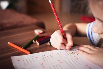 Bild der Petition Umwandlung des Artikel 7 in ein Recht auf Bildung in Deutschland