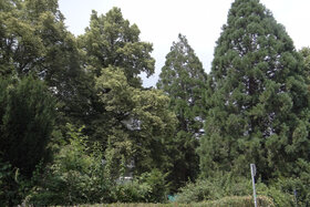 Bild der Petition: Umweltzerstörung auf dem St. Alban Gelände in Freiburg-Littenweiler verhindern!