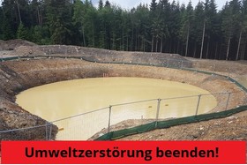 Bild der Petition: Umweltzerstörung im Münsterwald beenden!