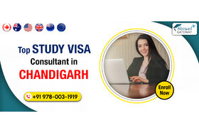 Bild der Petition: Undeniable Benefits of Working with Visa Agents in Chandigarh