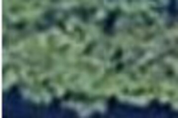 Bild der Petition ungültige Petition #2