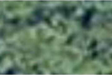 Bild der Petition ungültige Petition