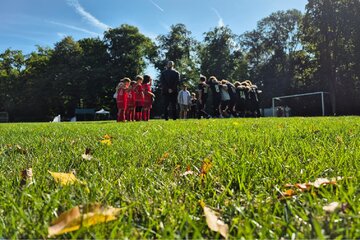 Bild der Petition Unser Platz muss bleiben: Sportanlagefür Ballfieber Colonia und Kinder im Kölner Grüngürtel sichern