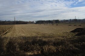 Bilde av begjæringen: Unser Projekt: KEIN HORNBACH in LIEBENAU