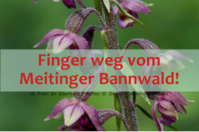 Изображение петиции:Unterstützung der „Meitinger Bannwald-Erklärung“