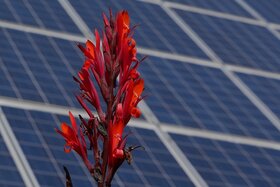Foto da petição:Unterstützung des Eigenverbrauchs von Photovoltaikanlagen in Verbindung mit Stromspeichern