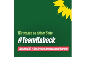 Bild der Petition: Unterstützung für Robert Habeck #teamhabeck