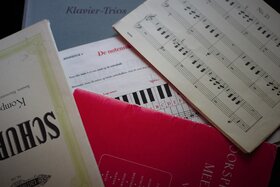 Bild på petitionen:Unverzügliche Wiedereröffnung der Musikschulen im Freistaat Sachsen