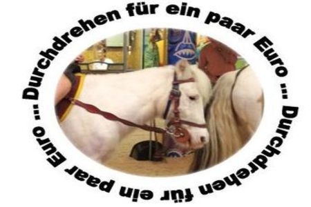 Bild der Petition: Verbannt die Ponykarusselle aus Speyer!