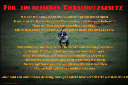 Foto della petizione:Verbesserung des Tierschutzgesetzes
