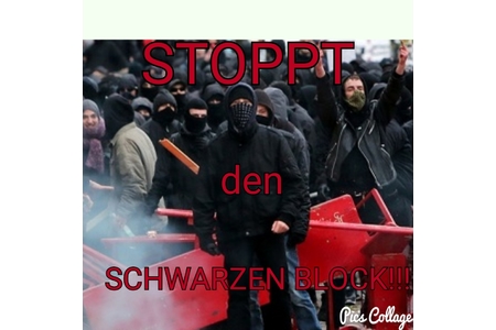 Bild der Petition Verbot der Gruppierung "Schwarzer Block"
