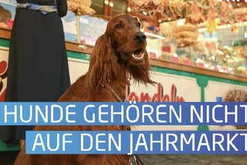 Immagine della petizione Verbot der Mitnahme von Hunden Gallimarkt Leer