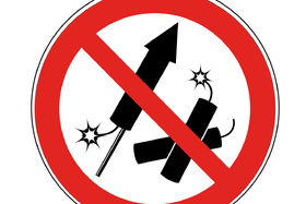 Bild der Petition: Verbot des "privaten" Feuerwerks