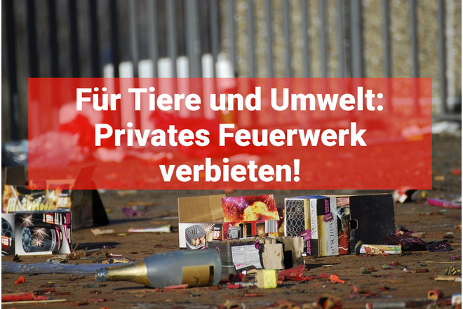 Slika peticije Verbot des Privaten Silvesterfeuerwerk in Weißenfels!