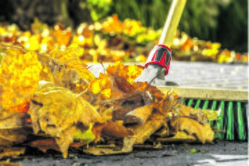 Bild der Petition Verbot lärmender Gerätschaften in Nürnberg