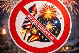 Image of the petition: Verbot: Verkauf von Feuerwerkskörpern an Privatpersonen