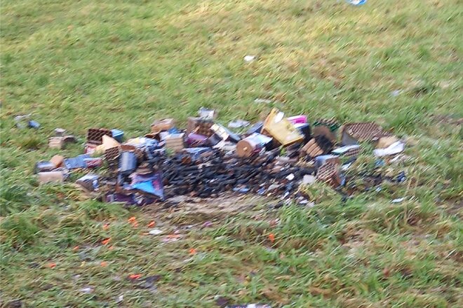 Изображение петиции Verbot von Feuerwerk in Umweltzonen