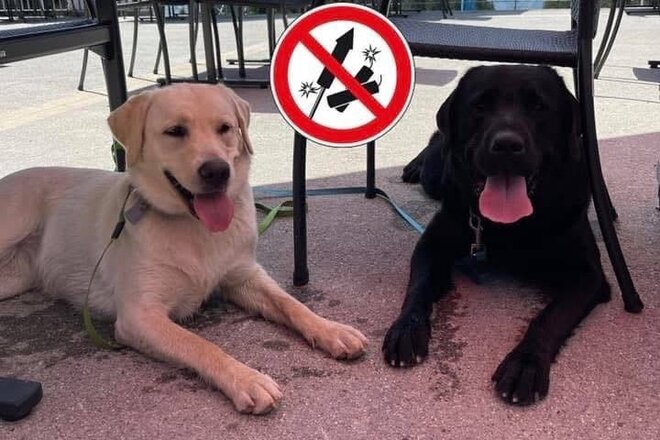 Petīcijas attēls Verbot von Feuerwerkskörpern im Kanton Glarus