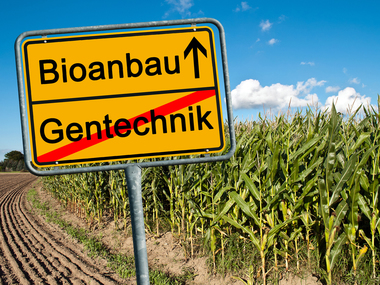 Bild der Petition Verbot von Gentechnik bei McDonald's