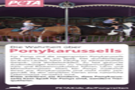 Bild der Petition Verbot von Ponykarrussellen deutschlandweit