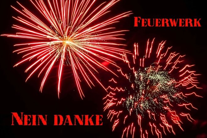 Bild der Petition Verbot von privatem Feuerwerk in Tübingen