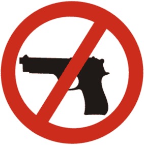 Bild der Petition: Verbot von Schusswaffen für Privatpersonen