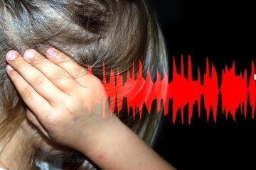 Bild der Petition Regulierung von Frequenzen und Schalldrücken für Marder- und Katzenschrecks