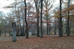 Bild der Petition: Verhindern Sie die Rodung von 75 gesunden Bäumen im Rathenaupark in Bad Salzungen!