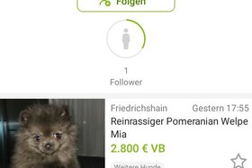 Bild der Petition: Verkaufsverbot von Tieren auf ebay Kleinanzeigen