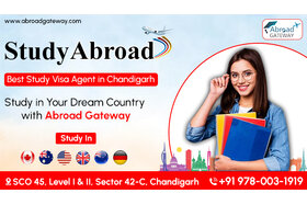 Bild der Petition: Visa Advisor in Chandigarh for Smooth Processing