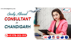 Pilt petitsioonist:Visa Advisors in Chandigarh Offering Comprehensive Support for Applicants