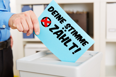 Picture of the petition:Volksabstimmung zur Einführung der Direkten Demokratie