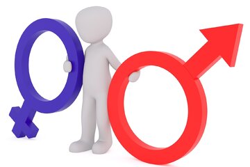 Bild der Petition Volksentscheid zur Gendersprache