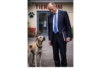 Bild der Petition Von der Regierung erneut betrogen!!! Keine Gelder mehr für Tierheime!!!  JETZT IST SCHLUSS