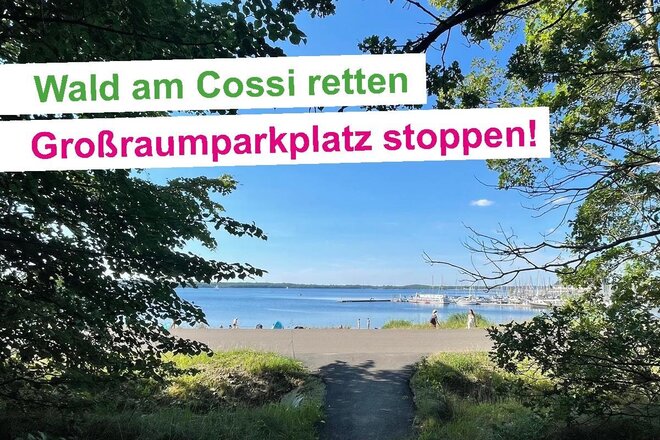 Bild der Petition Wald statt Asphalt! Kein Großraumparkplatz am Cospudener  See