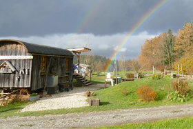 Bild der Petition: Waldkindergarten Voggenreute/Ingoldingen: FÜR eine Weiterfinanzierung durch die Gemeinde