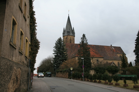 Bild der Petition: Wanderfalken für den Dom des Angelbachtals