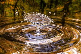 Bild der Petition: Wasser muss grundgesetzlich geschützt werden!