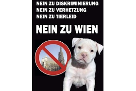 Bild der Petition: Stoppt diese Hetze gegen Hunde ALLER Rassen!