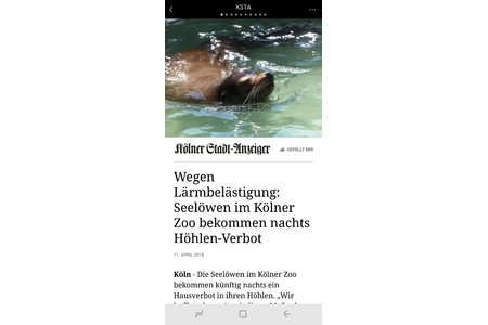 Bild der Petition: Wegen Lärmbelästigung: Seelöwen im Kölner Zoo bekommen nachts Höhlen-Verbot