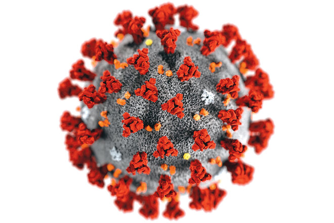 Billede af andragendet Weiterhin kostenlose Corona-Schnelltest