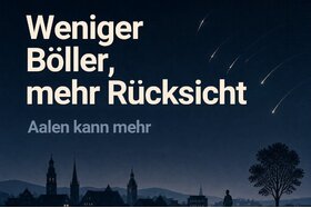 Bild der Petition: Weniger Böller, mehr Rücksicht – Aalen kann mehr