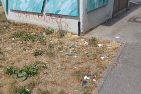 Bild der Petition: Weniger Müll in Kernen – mehr Mülleimer und Warnschilder gegen Vermüllung