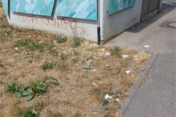 Bild der Petition Weniger Müll in Kernen – mehr Mülleimer und Warnschilder gegen Vermüllung